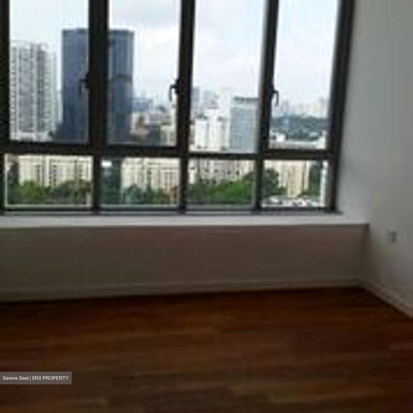 The Cairnhill (D9), Condominium #629157381
